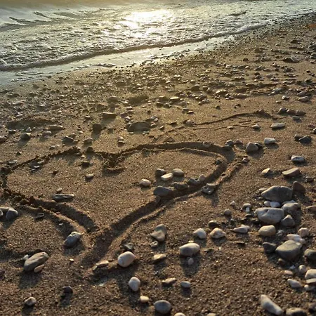 בית הארחה Tomic סלינה