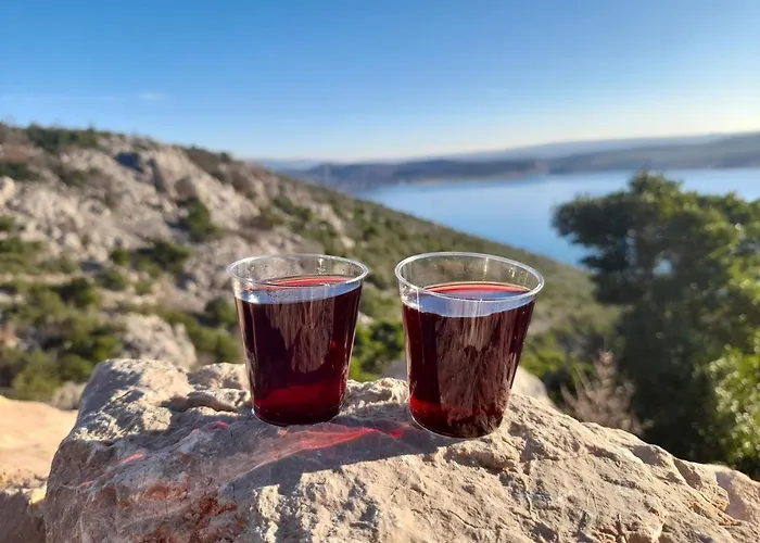 Tomic Πανσιόν