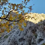 Tomic Gostinjska kuća Seline