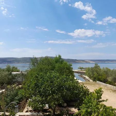 بيت ضيافة Tomic 3*