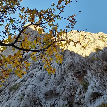 Tomic Gasthuis Seline